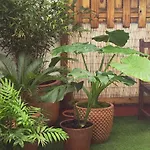 108a De 3 Con Terraza Apartamento Gijón