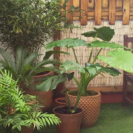 108a De 3 Con Terraza Appartement Gijón