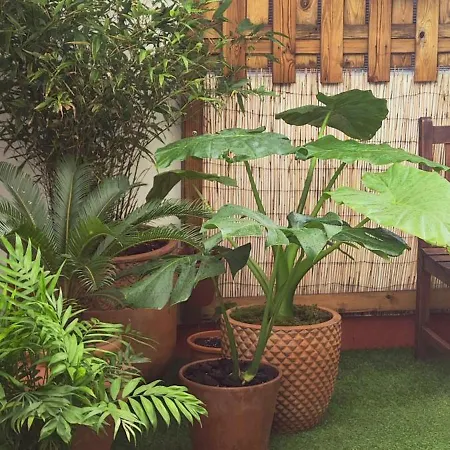 108a De 3 Con Terraza Apartment Gijon