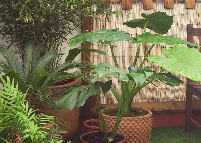 108a De 3 Con Terraza Appartamento Gijón